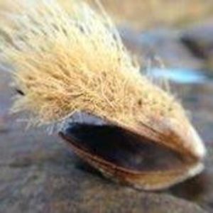 Meet your Posher, Silver